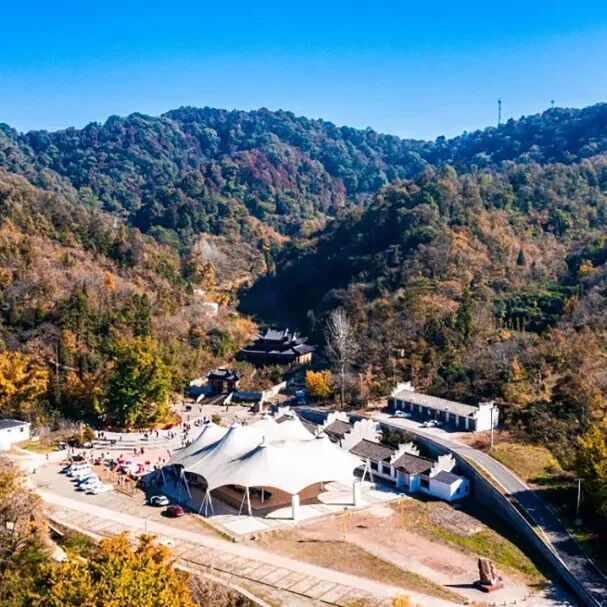 mg����ͻ��(�й���)�ٷ���վ